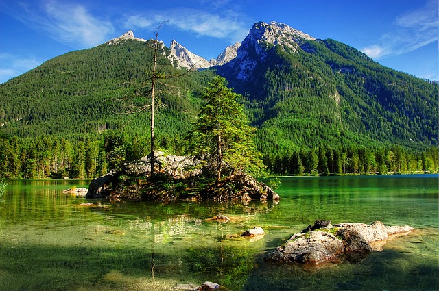 山东泰山选