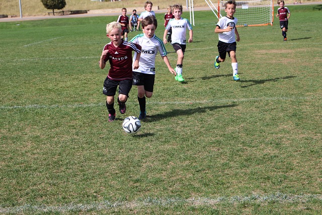 理素质将直 理素质将直