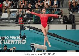 随后的比赛 随后的比赛