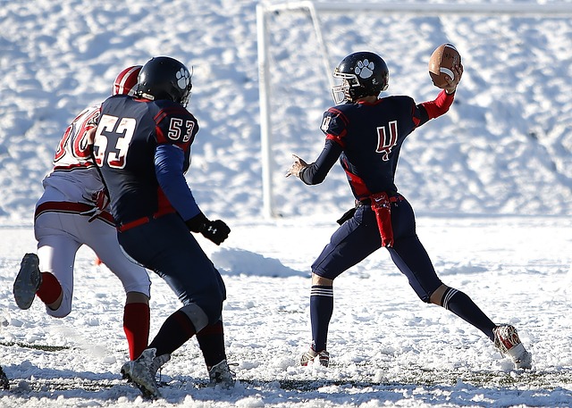 鉴其他足球 鉴其他足球