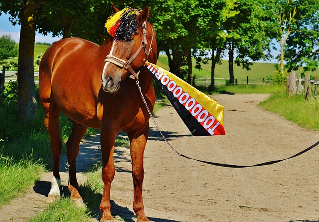 但遗憾的是 但遗憾的是