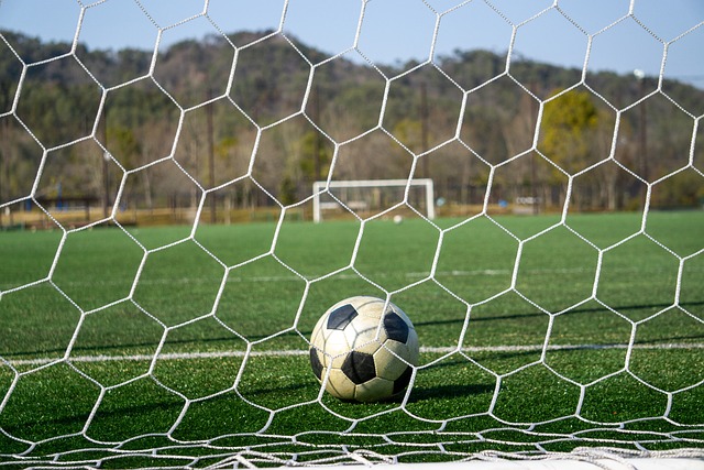 国际社会的 国际社会的