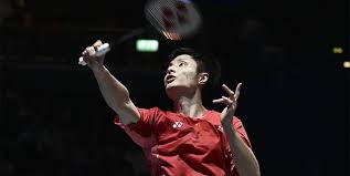 马的职业生 马的职业生